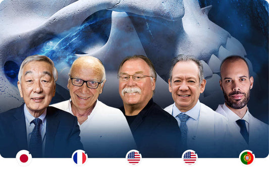 Formation aligneurs